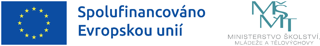 Obsah obrázku textPopis byl vytvořen automaticky